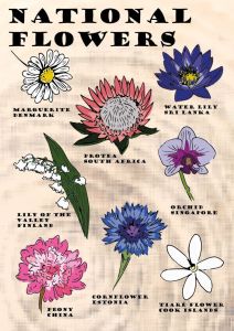 National Flowers