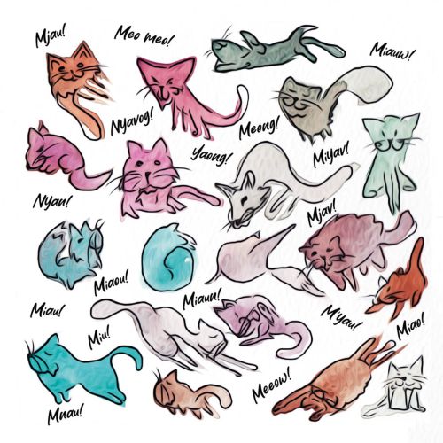 Meow