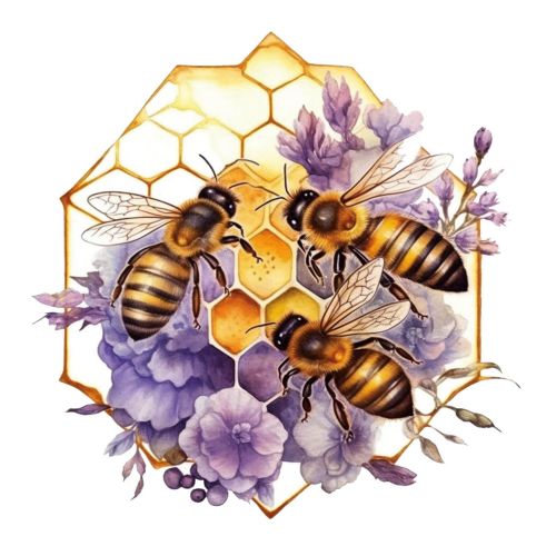 Bees and Flowers