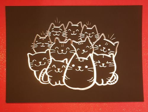 Cats