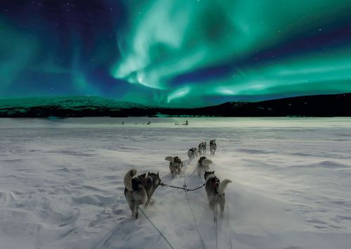 Aurora Borealis
