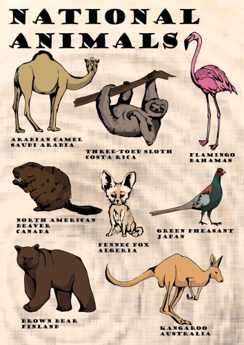 National Animals