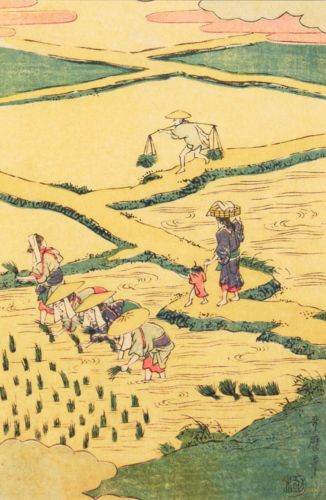 Utamaro Kitagawa - Planting rice