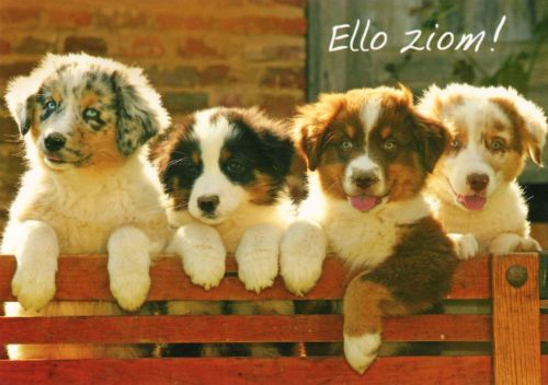 Ello dude!