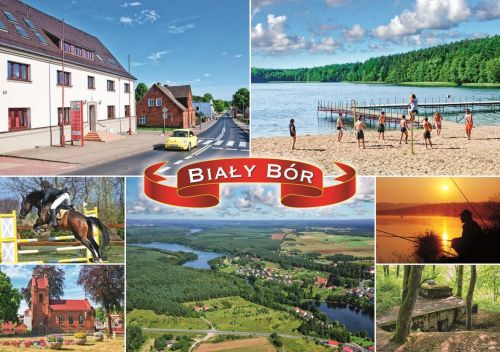 Biały Bór