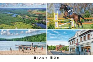 Biały Bór