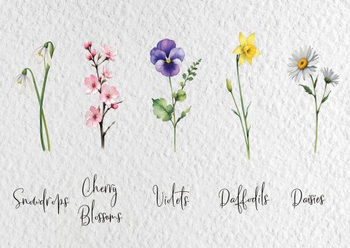 Flowers