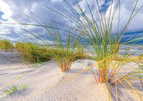 Baltic Sea