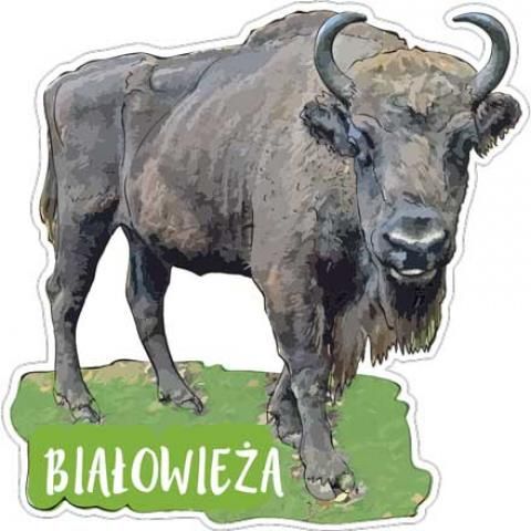 Magnet: Białowieża