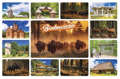 Białowieża