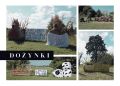 Polish Harvest Festival