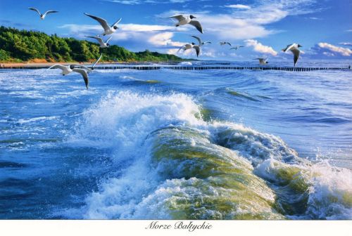 Baltic Sea - A4 format