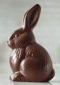 Chocolate Bunny