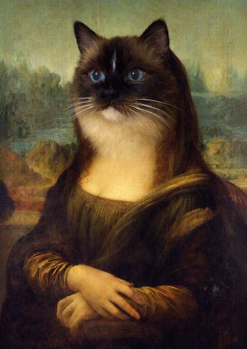 Cat Lisa