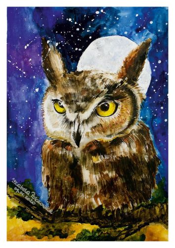 Owl