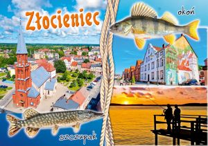 Złocieniec