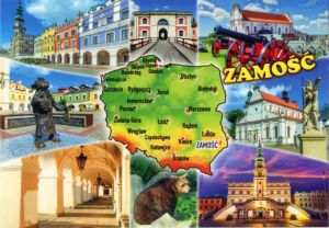 Outlet - Zamość