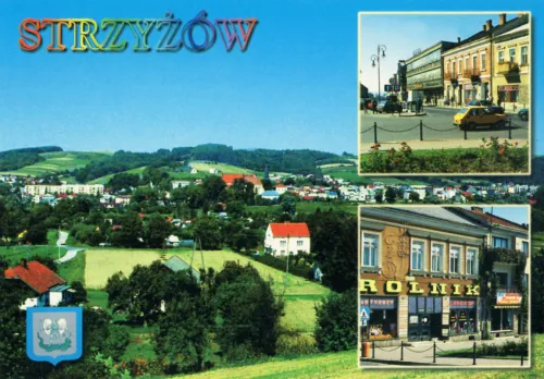 Strzyżów