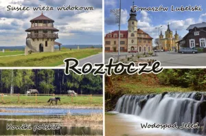 Outlet - Roztocze