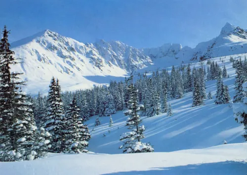 Tatry. Dolina Gąsienicowa