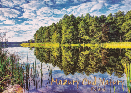 Mazury 04