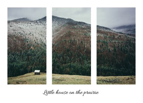 Little house on the praire