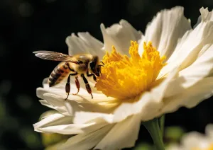 Bee & Bloom