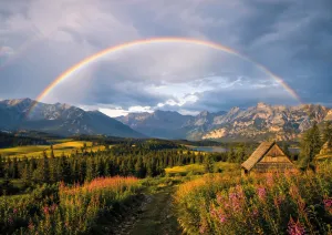A Moment of Wonder