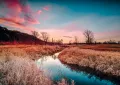 Whispers of Dusk