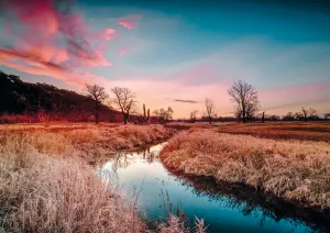 Whispers of Dusk