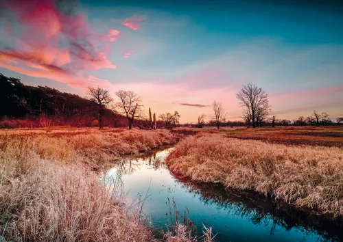 Whispers of Dusk