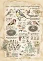 A Compedium of Garden Aviary &amp; Summer Birdlife
