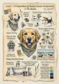 A Compedium of Summer Canine Companions &amp; Pet Studies