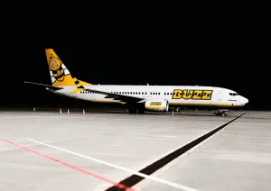 Bee Plane