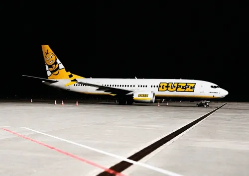 Bee Plane