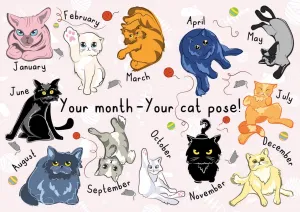 Monthly Cat Pose