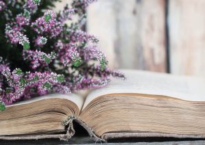 Heather and old book