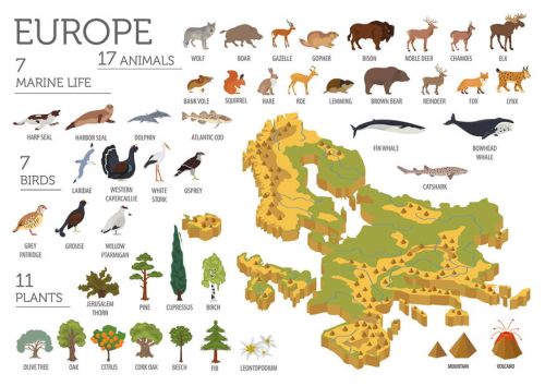 Fauna i flora Europy