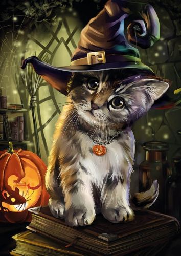 Magic Cat