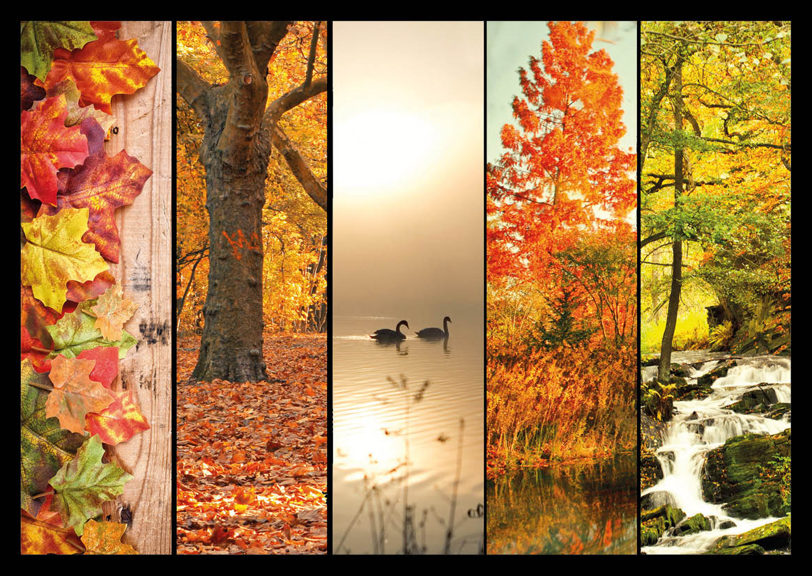 Autumn collage